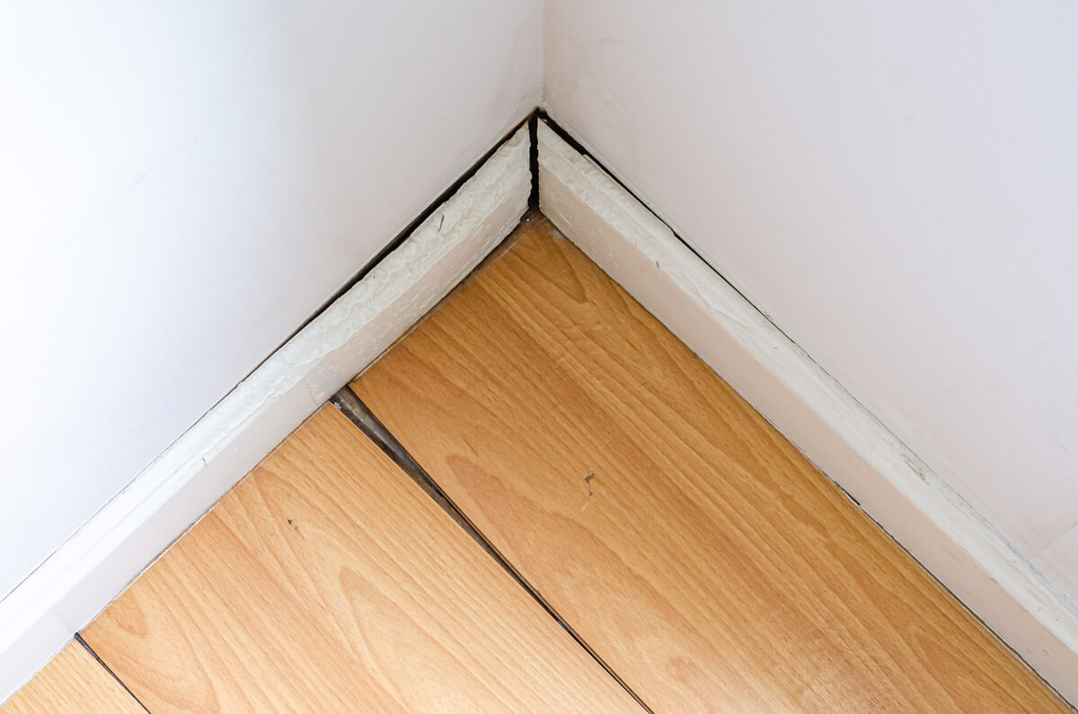 Baseboard with water damage